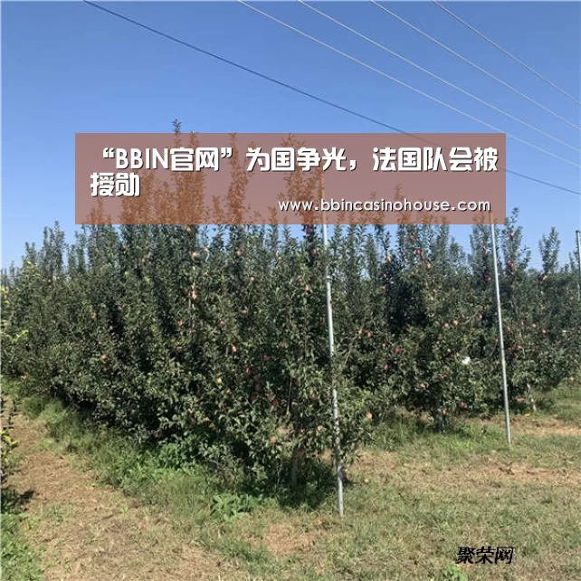 BBIN棋牌